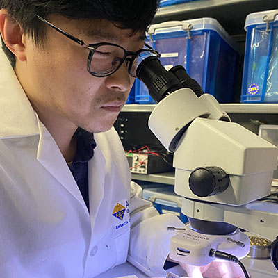 male researcher in a lab looking into a microscope
