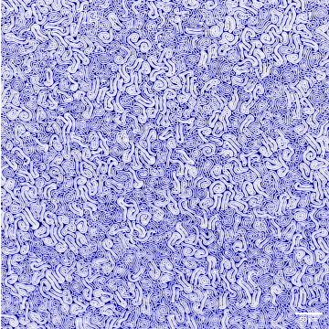 /Winner%20of%20the%20NNCI%20Most%20Stunning%20category