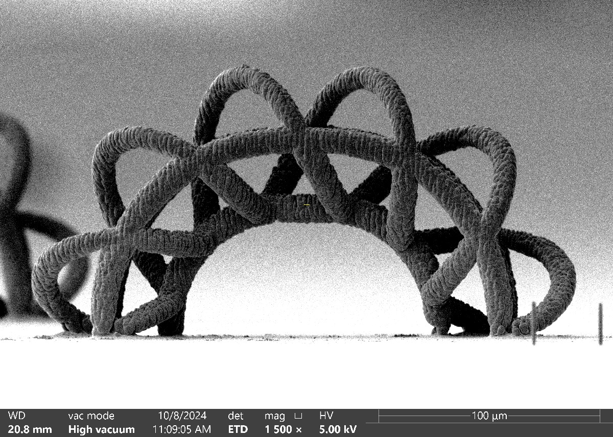 /Scanning%20electron%20microscope%20image%20of%20a%20tiny%2C%20arch-like%20structure%20made%20of%20looped%2C%20rope-textured%20material.%20A%20scale%20bar%20indicates%20the%20structure%20is%20on%20the%20order%20of%20100%20micrometers%20wide.
