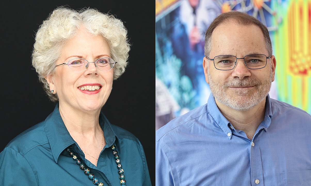 /Patricia%20Mokhtarian%20and%20David%20Sholl