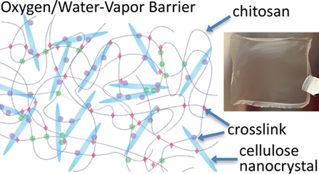 /Biobased%20film%20for%20packaging