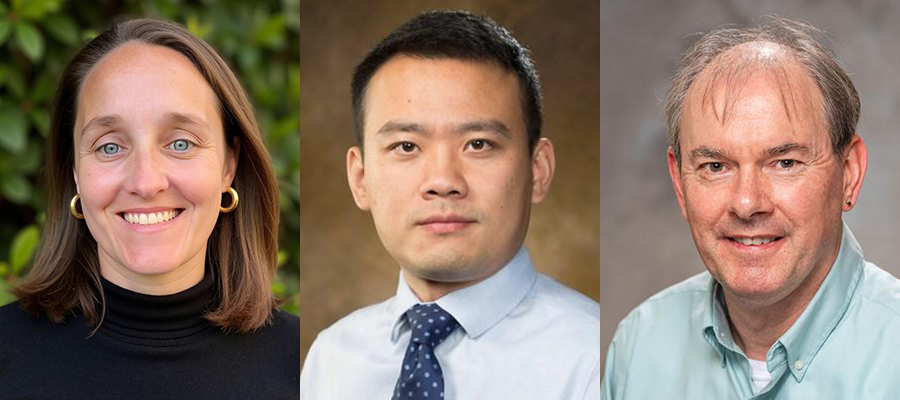 "Three side‑by‑side headshot portraits showing individuals from the shoulders up against different backgrounds. The left image shows a person wearing a black top with greenery behind them, the center image shows a person in a light blue shirt and patterned tie against a neutral brown backdrop, and the right image shows a person in a light green collared shirt against a gray studio background."