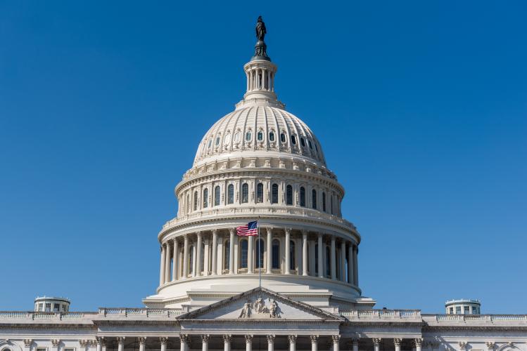 Photo of the U.S. Capital Building