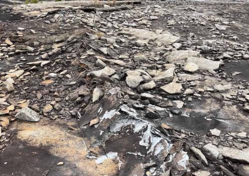 July 2023: A long line of scattered rocks indicate a fresh fault in the outcrop within the Davidson-Arabia Mountain Nature Preserve. (Photo: Arabia Mountain National Heritage Area)