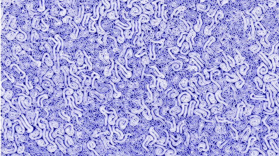 Winner of the NNCI Most Stunning category