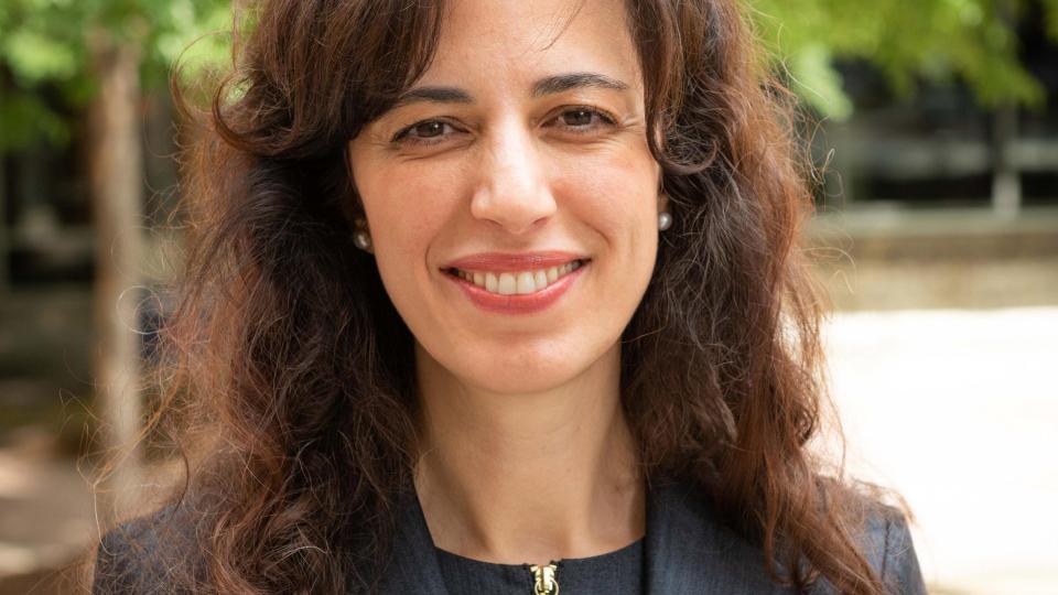 Pinar Keskinocak, William W. George Chair and Professor; Director of the Center for Health and Humanitarian Systems 