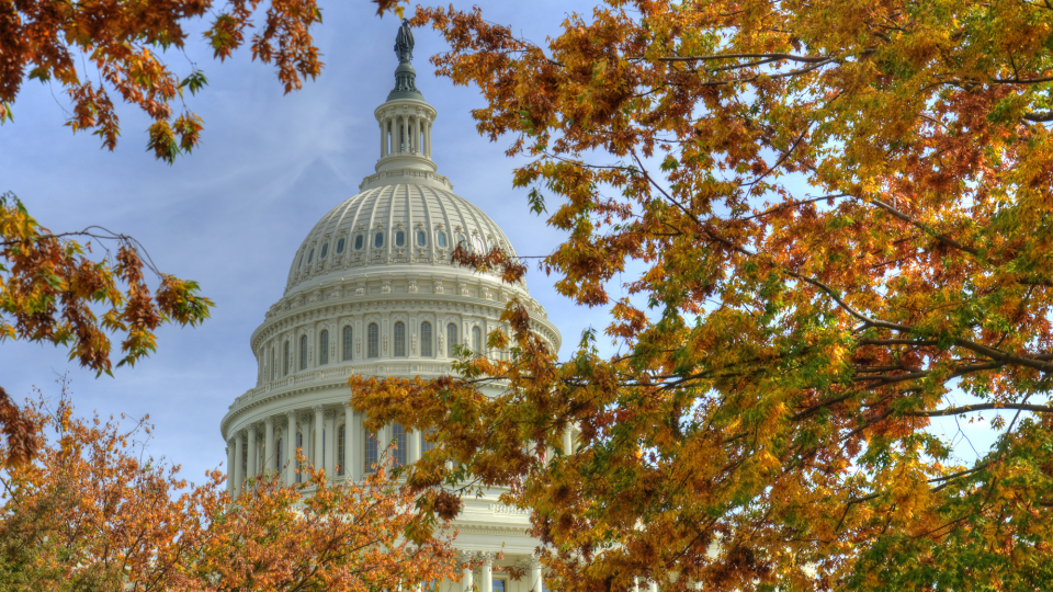 Fall leaves at the Federal Capital Building