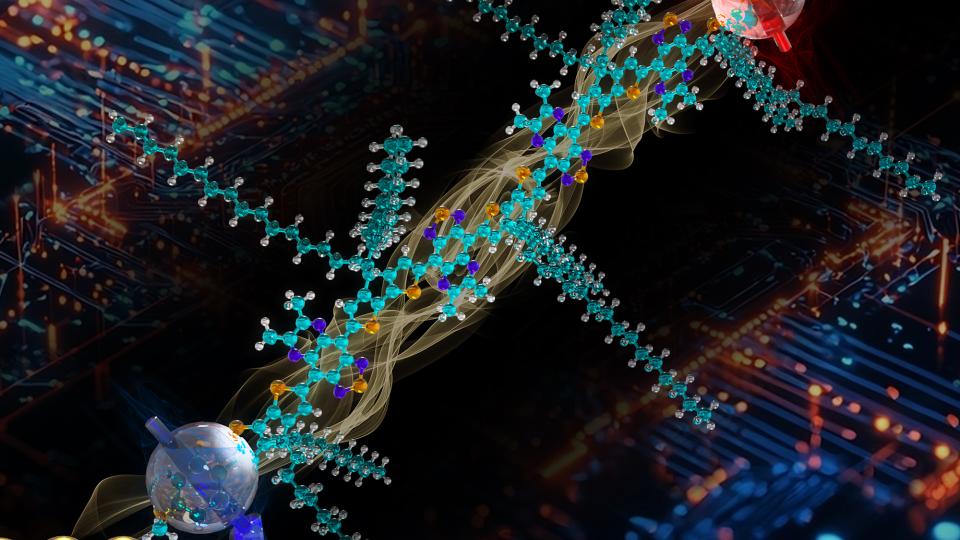 (Rendering: Second Bay Studios)