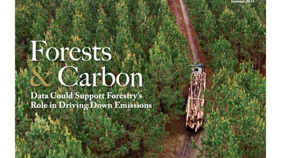 Cover of Summer 2024 Georgia Forestry Magazine