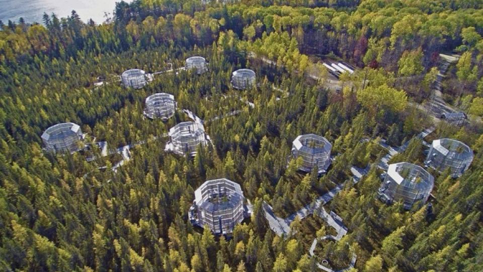 An aerial photo of the SPRUCE experiment.