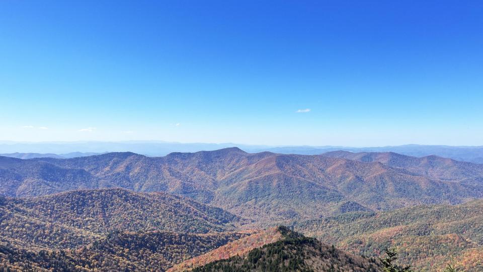 A range of tree-covered mountains stand beneath a bright blue sky
