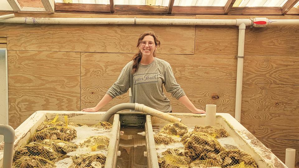 Sarah Roney oversees nursery troughs in the UGA Shellfish Research Lab filled with young oysters growing on shells recycled from restaurants all over Georgia.