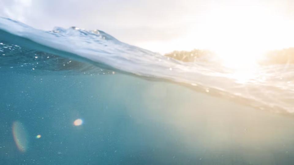  The global ocean’s surface temperature was still well above average going into 2025. Meaghan Skinner Photography/Moment via Getty Images