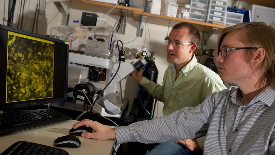 Become a Petit Mentor