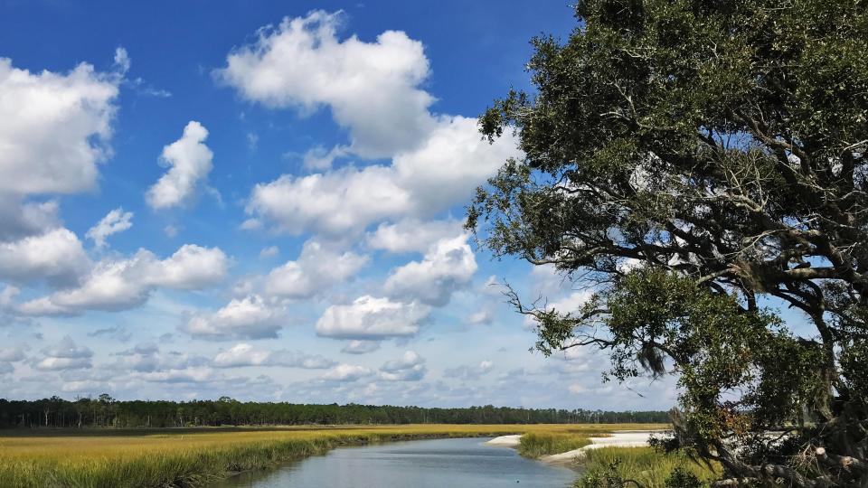 A salt marsh waterway is lined by cord grasses, sand, and trees. The sunny cerulean sky is dotted with clouds.