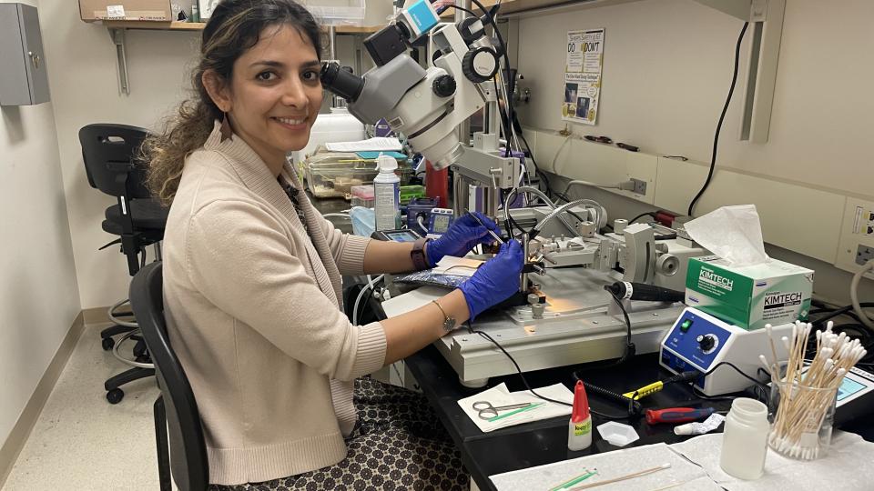 Farzaneh Najafi, assistant professor in the School of Biological Sciences at Georgia Tech, conducting research in her lab.