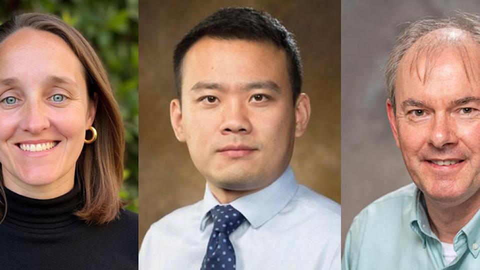 "Three side‑by‑side headshot portraits showing individuals from the shoulders up against different backgrounds. The left image shows a person wearing a black top with greenery behind them, the center image shows a person in a light blue shirt and patterned tie against a neutral brown backdrop, and the right image shows a person in a light green collared shirt against a gray studio background."