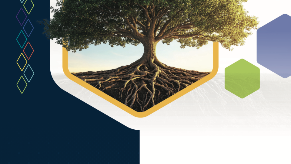RBI Annual Report