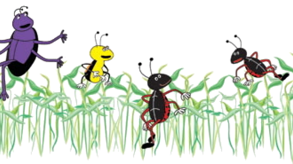 Bioengineering & Bioscience Unified Graduate Students (BBUGS)