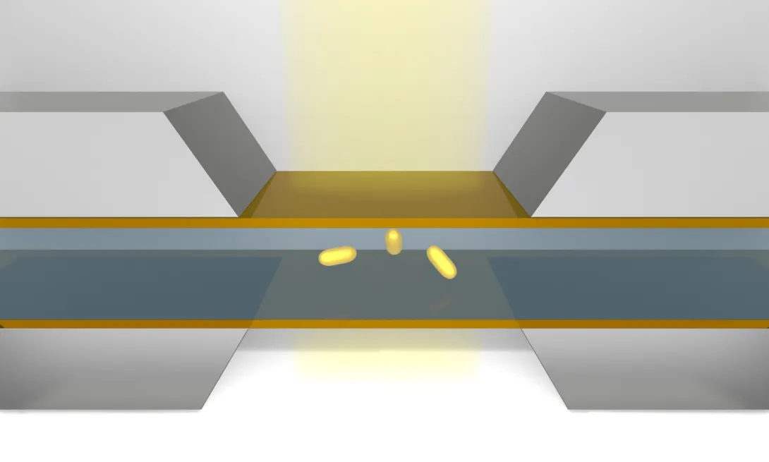 Schematic showing nanoparticles in the microfluidic chamber of liquid-phase transmission electron microscopy