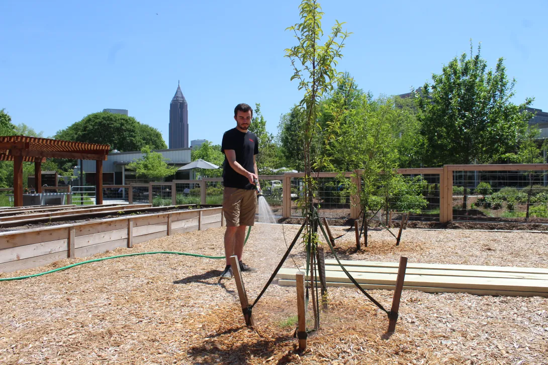 Elias Winterscheidt waters trees in the Community Garden
