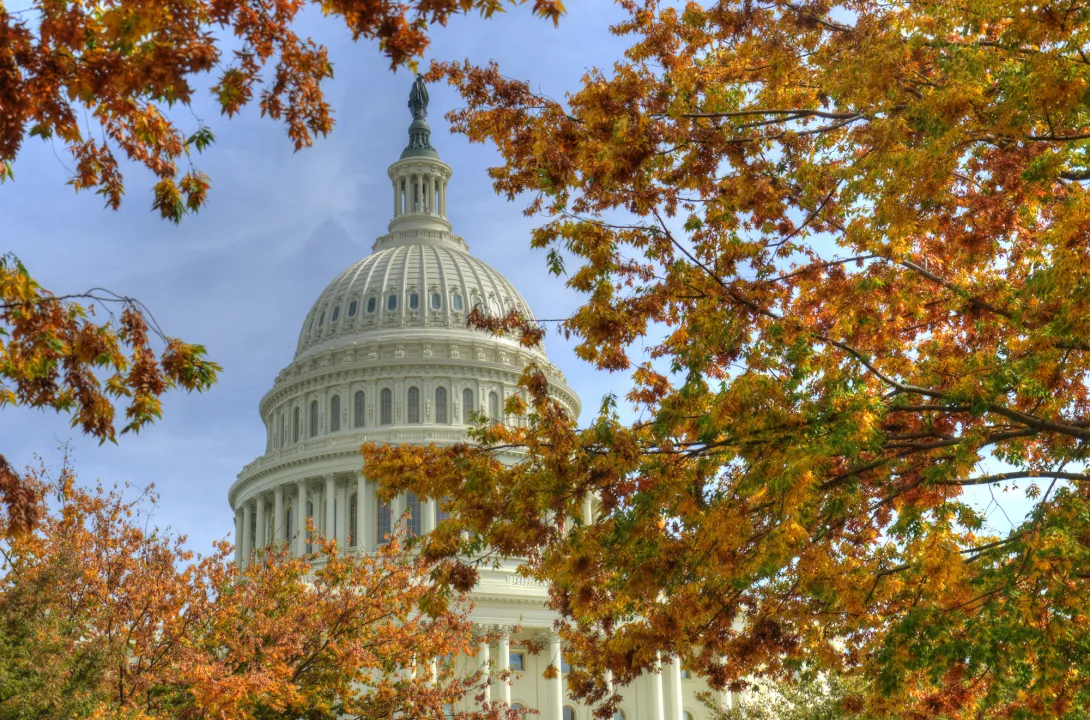 Fall leaves at the Federal Capital Building