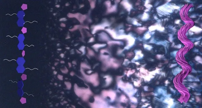 Tiny helices emerge during a phase separation process, offering clues about how life's building blocks may have first developed a preference for one 'handed' form over another. (Credit: Jong-Hoon Lee, Ziming Wang, Ying Diao)