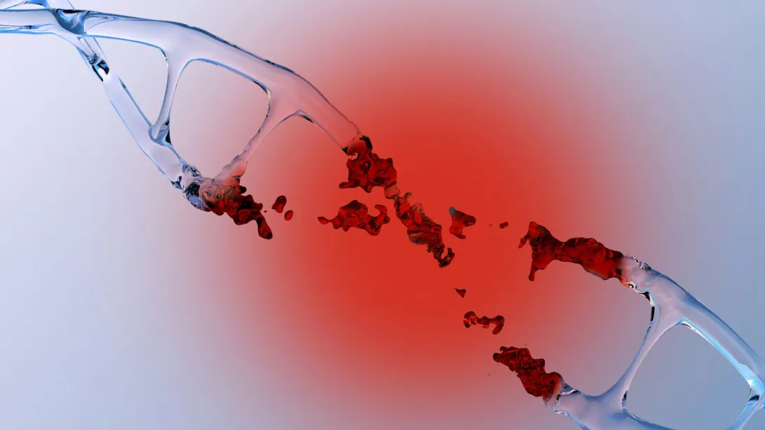 Double-strand breaks in DNA can be deadly