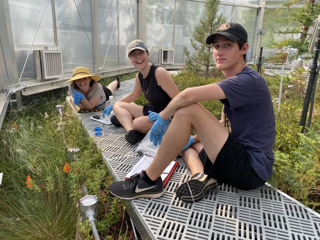 Postdoctoral Researcher Caitlin Petro, Ph.D. student Katherine Duchesneau, and undergraduate student Sekou Noble-Kuchera in a SPRUCE chamber.