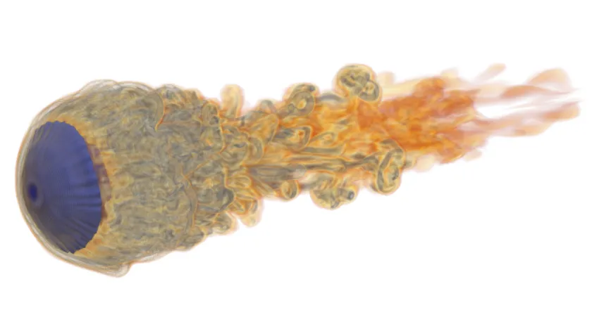 ExaMFlow Droplet