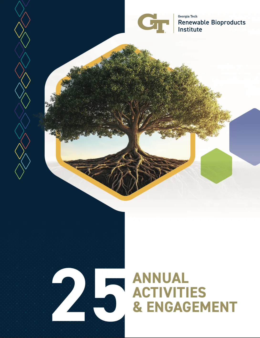 RBI Annual Report