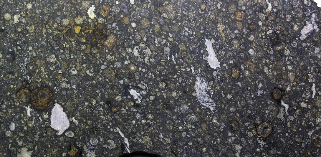 Many carbon-rich meteorites contain ingredients commonly found in life, but no evidence of life itself. James St. John, CC BY