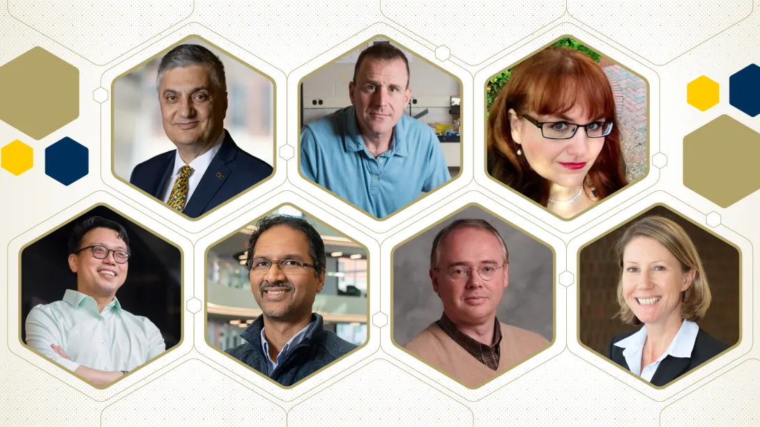 2024 AAAS Fellows
